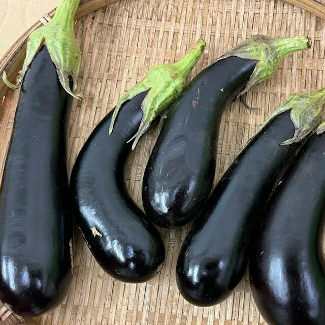 有機種子ナスビオレッタの種約20粒