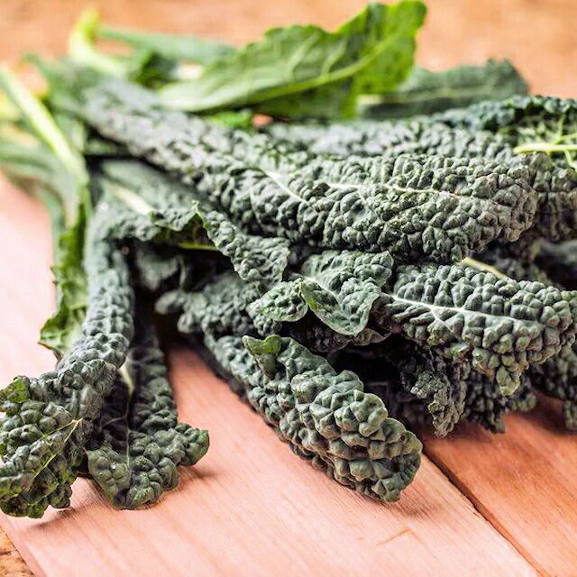 有機種子レタス結球レタスアイスバーグの種約40粒