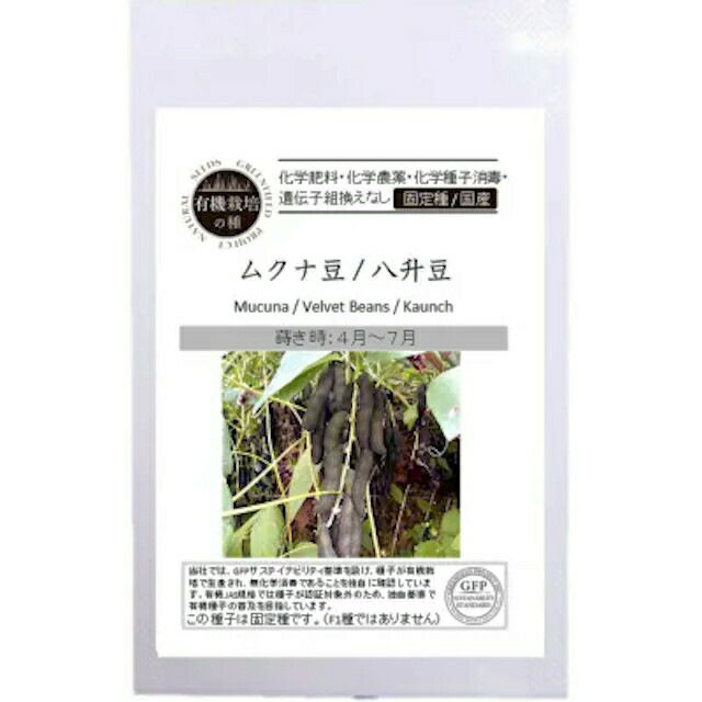 こぼれ種シリーズ里山の花の種「金蓮花〔ナスタチュウム」畑懐〔はふう〕