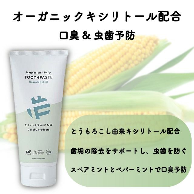 だいじょうぶなものマグネシウムデイリートゥースペースト100g